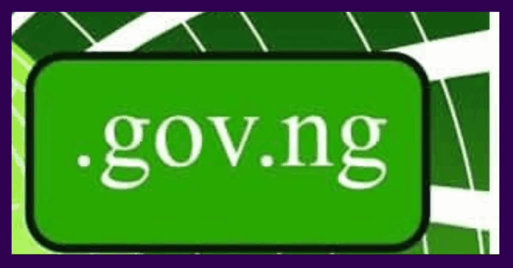 .gov.ng-tld-image